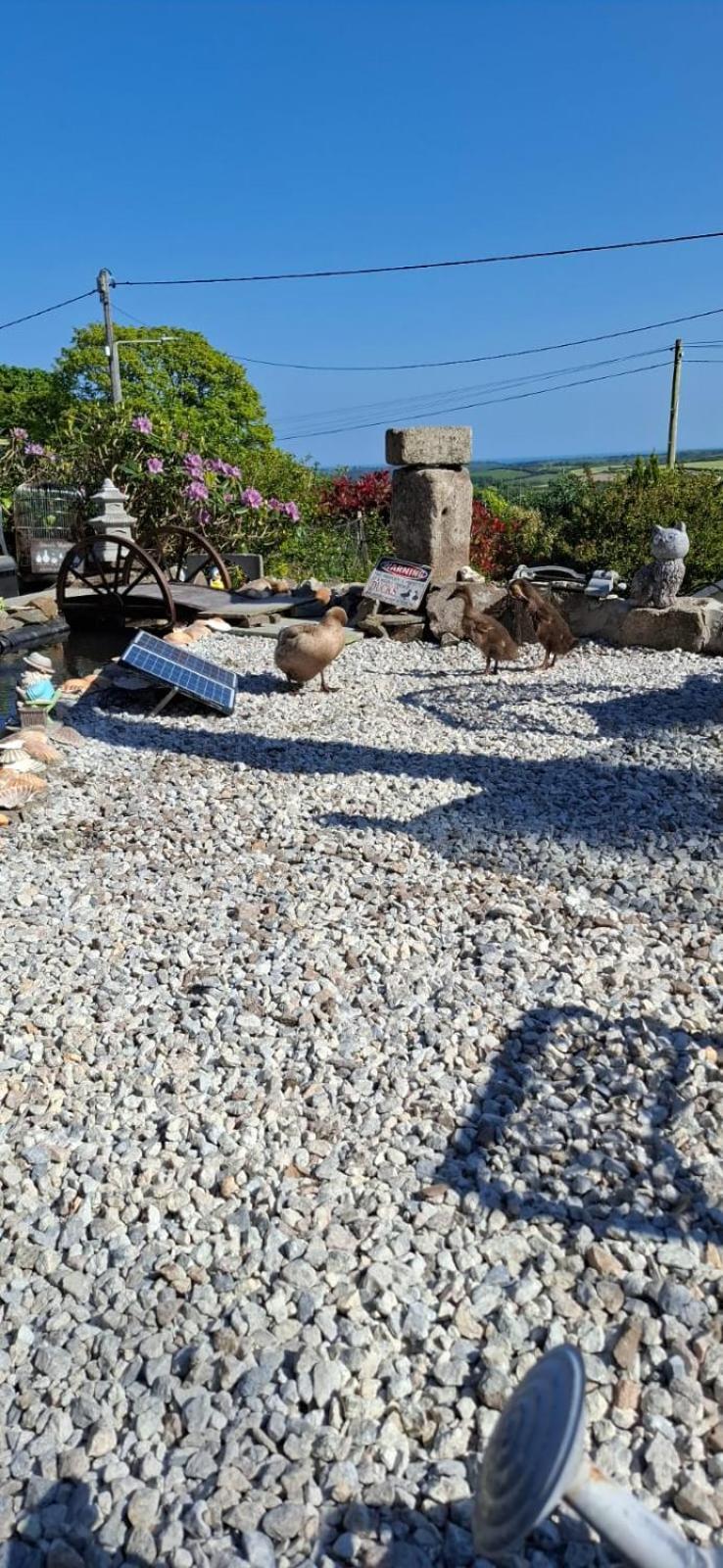 Cosy Cornish Cabin St Austell Extérieur photo